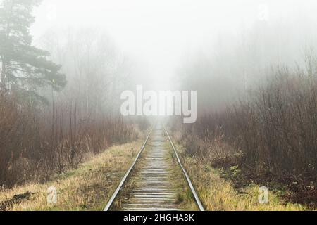 Vieux chemin de fer vide traverse une forêt brumeuse, photo de fond Banque D'Images