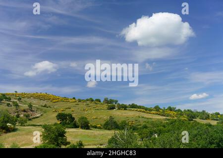 Paysage à Molise près de Macchiagodena et Frosolone, province d'Isernia, en juin Banque D'Images