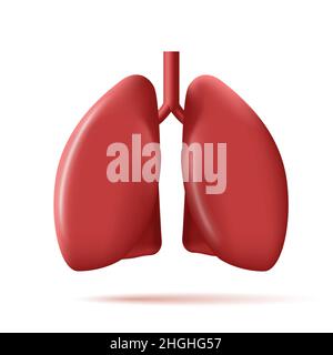 3d illustration de poumons humains sains, bio-icône Illustration de Vecteur