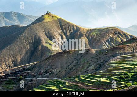 Les montagnes de l'Atlas au Maroc.Deux arbres solitaires au sommet d'une montagne surplombent un village et des champs cultivés en terrasse Banque D'Images