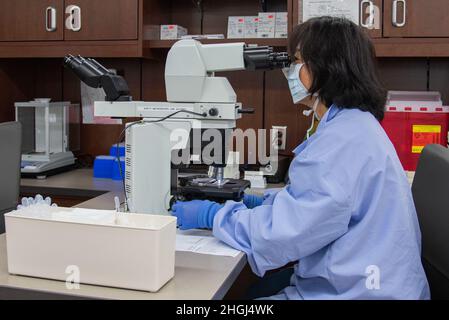 Xiuli Sun, 59e technicienne de laboratoire médical du Medical Diagnostics and Therapeutics Squadron, passe en revue un échantillon d'essai pour confirmer les résultats au Wilford Hall Ambulatory Surgical Centre, joint base San Antonio-Lackland, Texas, le 12 août 2021. Chaque année, le laboratoire clinique de la WHASC teste plus de trois millions d’échantillons à l’appui de 715 fournisseurs. Banque D'Images