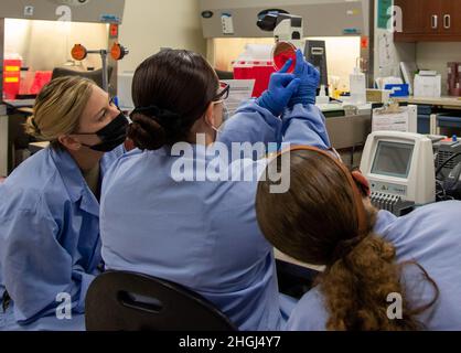 Airman Kyra Brabham, technicien de laboratoire médical du 59e Escadron de diagnostics médicaux et de thérapies, forme les étudiants en microbiologie à identifier les bactéries au Wilford Hall Ambulatory Surgical Centre, joint base San Antonio-Lackland, Texas, le 12 août 2021. Le laboratoire clinique de la WHASC teste des échantillons pour aider au traitement de diverses infections. Banque D'Images