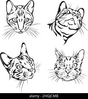 Chat Bengale, nos portraits de chats Bengale en noir et blanc pour logo, marque, imprimé et tatouage Illustration de Vecteur