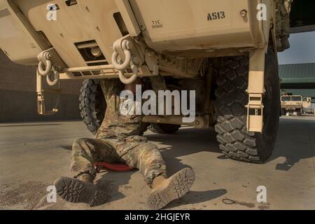 En terminant les derniers jours de la formation annuelle, les mécaniciens de véhicules sur roues du BSB 145th ont accéléré le rythme des activités d'entretien et de réparation.Une partie importante de l'entraînement annuel a été accomplie par les soldats d'entretien du BSB de 145th.Chaque jour, un nouveau défi leur a été présenté sous la forme de l'entretien périodique des véhicules et de réparations soudaines et inattendues sur l'équipement déjà utilisé pour la formation programmée.Dans le cadre de l'équipe de combat de la brigade de Cavalry de 116th, le bataillon de soutien de la brigade de 145th soutient toute la brigade par une mission de soutien logistique diversifiée et Banque D'Images