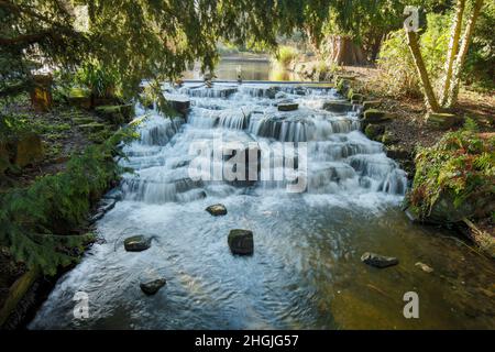 Paysage intime de la rivière Wandle eau tombant dans Grove Park (Sutton), Angleterre Banque D'Images