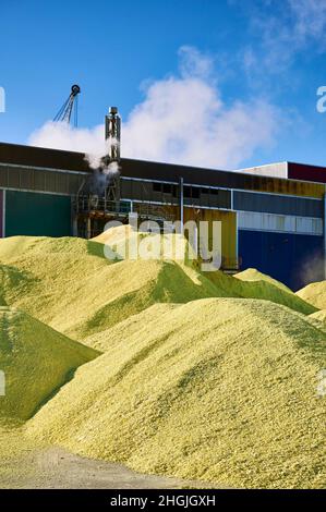 Pile jaune de soufre produite dans une installation industrielle Banque D'Images