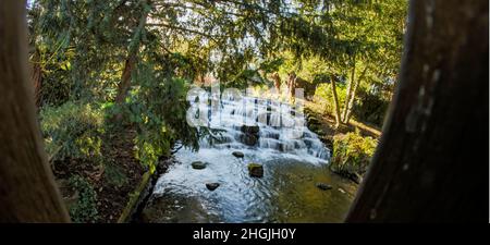 Paysage intime de la rivière Wandle eau tombant dans Grove Park (Sutton), Angleterre Banque D'Images