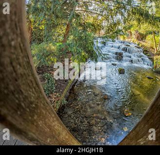 Paysage intime de la rivière Wandle eau tombant dans Grove Park (Sutton), Angleterre Banque D'Images