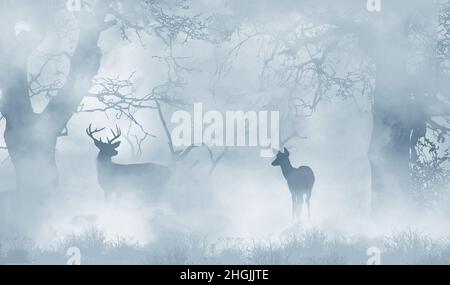 Un buck et un cerf de Virginie sont vus dans une forêt brumeuse en hiver dans cette illustration de 3 jours. Banque D'Images