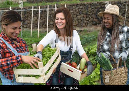 Les agricultrices multiraciales qui travaillent en campagne récoltant des légumes frais - concept de mode de vie des agriculteurs Banque D'Images