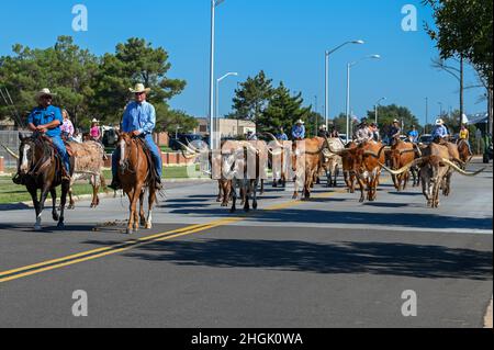 Deux cow-boys du Great Plains Stampede Rodeo dirigent des bovins pendant la campagne de bétail sur la base aérienne d'Altus, Oklahoma, le 26 août 2021.L'élevage annuel de bétail est dérivé de « la Great Western Trail » qui a traversé Altus à la fin du siècle 19th. Banque D'Images