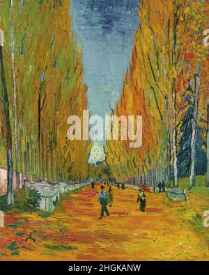 Van Gogh Vincent - Collection privée - les Alyscamps - 1888 - huile sur toile 92 x 73,5 cm Banque D'Images