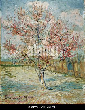 Pink Peach Trees - 1888 - huile sur toile pas d'info - Van Gogh Vincent Banque D'Images