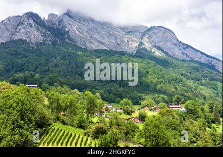 Paysage de montagnes et village alpins, Suisse, Europe.Paysage de maisons et de vignobles en campagne, vue panoramique sur la nature suisse et la campagne Banque D'Images