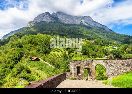 Paysage avec montagnes alpines et village, Suisse.Paysage de vieilles maisons en campagne, vue panoramique sur le sommet nuageux du mont et le terrain rural.Con Banque D'Images