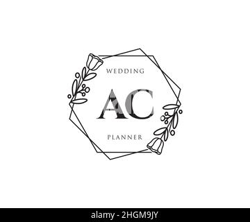 Logo AC féminin.Utilisable pour les logos nature, salon, Spa, cosmétique et Beauté.Elément de modèle de logo Flat Vector. Illustration de Vecteur