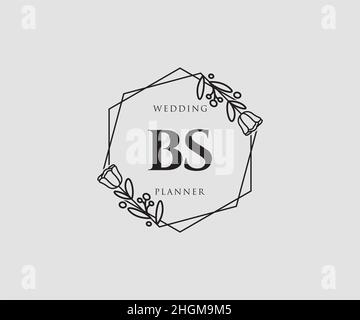 Logo féminin BS.Utilisable pour les logos nature, salon, Spa, cosmétique et Beauté.Elément de modèle de logo Flat Vector. Illustration de Vecteur