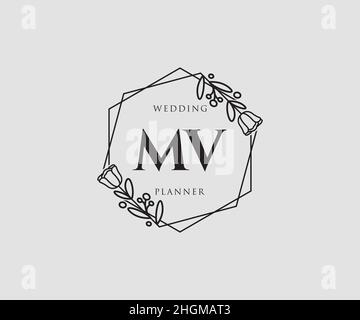 Logo MV féminin.Utilisable pour les logos nature, salon, Spa, cosmétique et Beauté.Elément de modèle de logo Flat Vector. Illustration de Vecteur