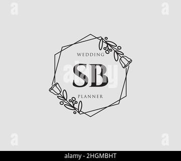 Logo SB féminin.Utilisable pour les logos nature, salon, Spa, cosmétique et Beauté.Elément de modèle de logo Flat Vector. Illustration de Vecteur