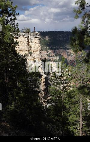 Une rancheuse femelle se trouve au bord d'une falaise abrupte qui descend dans le Grand Canyon sur le sentier de randonnée de North Rim Widforss point Banque D'Images