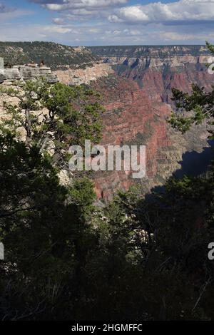 Une rancheuse femelle se trouve au bord d'une falaise abrupte qui descend dans le Grand Canyon sur le sentier de randonnée de North Rim Widforss point Banque D'Images