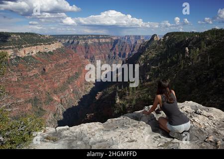 Une rancheuse femelle s'agenouille au bord d'une falaise abrupte, en regardant vers le Grand Canyon sur le sentier de randonnée de North Rim Widforss point Banque D'Images