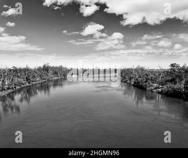Paysage contrasté de caractère de la rivière Murray sur les plaines australiennes à Riverina - vue aérienne le long du ruisseau dans BW. Banque D'Images