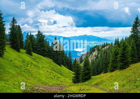 Allemagne, vue sur la montagne de Tegelberg depuis le sommet dans allgaeu bavarian nature paysage vallée et lac avec des fleurs des alpes colorées Banque D'Images