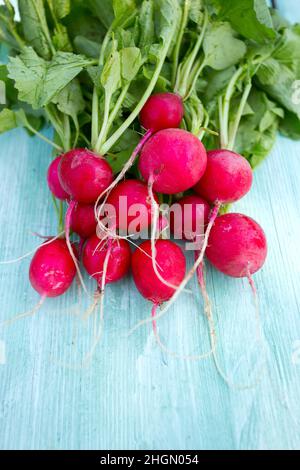 radis sur surface en bois Banque D'Images