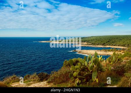 Porto Selvaggio, une zone naturelle du territoire de Nardò située dans la province de Lecce. Banque D'Images