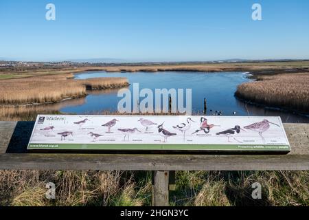 Vue sur la réserve naturelle des marais de Farlington avec un panneau d'information montrant les espèces d'oiseaux sur le site de la faune, Hampshire, Royaume-Uni, lors d'une journée d'hiver ensoleillée Banque D'Images