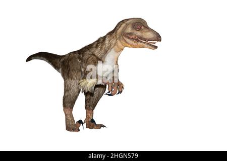 Corps d'un dinosaure isolé sur un fond blanc clair. Banque D'Images