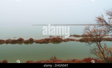 Paysage d'hiver à couper le souffle dans les Badlands de Camargue France Banque D'Images