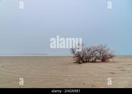 Paysage d'hiver à couper le souffle dans les Badlands de Camargue France Banque D'Images