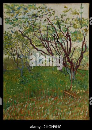 L'Orchard fleurie 1888 Vincent van Gogh Dutch l'arrivée du printemps à Arles en 1888 a trouvé Van Gogh « dans une fureur de travail ».Comme il l'a écrit à son frère Theo, « les arbres sont en fleur et j'aimerais faire un verger provençal d'une immense gaieté ».Entre fin mars et fin avril, l'artiste a consacré quatorze toiles au sujet, travaillant dans une gamme de tailles, de formats et de styles.Cette composition, dominée par les branches angulaires allongées des arbres en herbe, témoigne de l’admiration de Van Gogh pour les gravures japonaises.Son inclusion du scythe et du râteau fait de ce verger un de seulement deux Banque D'Images