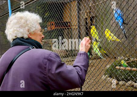 Paris, France.Une dame âgée non identifiée qui se nourrit de copains au jardin d'Acclimatation (parc d'attractions populaire situé à Bois de Boulogne) Banque D'Images