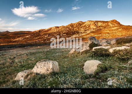 Feu tôt sur la crête d'Etheridge dans le parc national de Kosciuszko. Banque D'Images