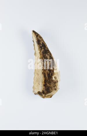 Insert de faucille ca.1186–1070 C.-B. Nouveau Royaume, Ramesside ce petit morceau de silex a été un élément clé de la réussite d'une saison agricole dans l'Égypte ancienne.Le grain était un élément essentiel de l'économie, car le pain et la bière faits à partir de céréales étaient consommés quotidiennement.Ils ont également formé le fondement de la subsistance éternelle, comme offrandes funéraires.Les anciens Égyptiens utilisaient des faucilles faites de silex et de bois pour récolter le grain.Des morceaux de silex tels que celui-ci ont été formés pour s'adapter à une haft en bois avec un certain nombre d'autres tels inserts, et fixés avec un adhésif.Les pièces de silex ont fourni un bord tranchant pour couper les tiges de grain. Banque D'Images