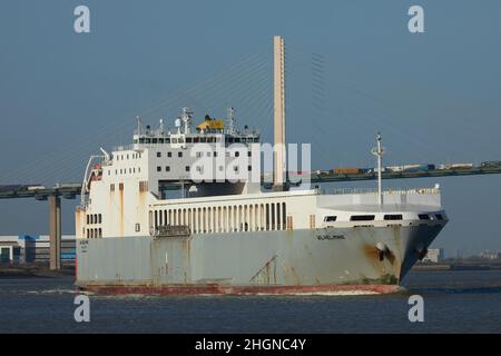 Le cargo Wilhelmine RO-RO sur la Tamise, au pont de Dartford.Le pont affiche un trafic lourd de camions. Banque D'Images