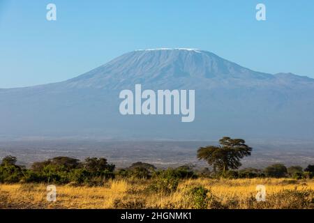 KENYA - 16 AOÛT 2018 : Mt Kilimanjaro dans le parc national d'Amboseli Banque D'Images