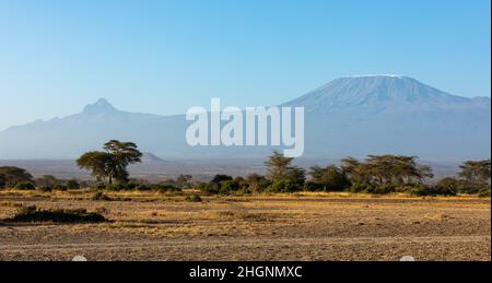 KENYA - 16 AOÛT 2018 : paysage du parc national d'Amboseli Banque D'Images