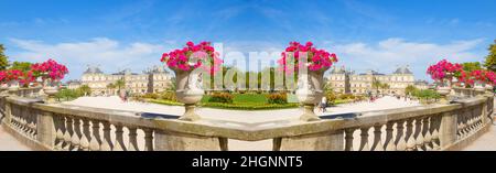 Gros plan fleurs dans le jardin avec une vue magnifique et floue en arrière-plan des Jardins du Luxembourg, lieu de monument célèbre à Paris, France, public Banque D'Images