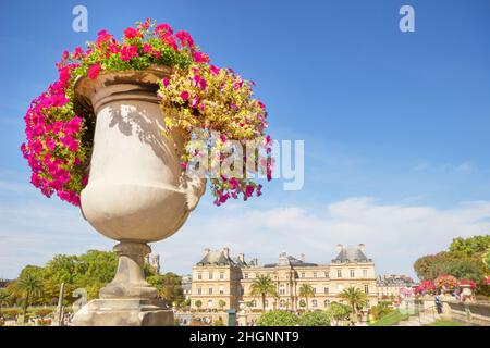 Gros plan fleurs dans le jardin avec une vue magnifique et floue en arrière-plan des Jardins du Luxembourg, lieu de monument célèbre à Paris, France, public Banque D'Images