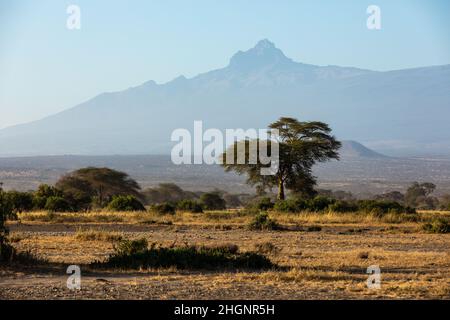 KENYA - 16 AOÛT 2018 : paysage du parc national d'Amboseli Banque D'Images