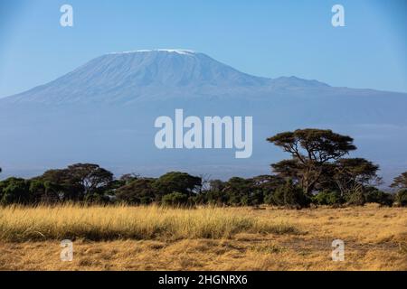 KENYA - 16 AOÛT 2018 : Mt Kilimanjaro dans le parc national d'Amboseli Banque D'Images