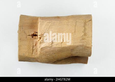 Outil modèle d'un dépôt de fondation ca.1479–1458 C.-B. Nouveau Royaume.Outil modèle à partir d'un dépôt de fondation. CA.1479–1458 C.-B.Bois.Nouveau Royaume.D'Égypte, haute Égypte, Thèbes, Deir el-Bahri, Tombeau de Senenmut (TT 353), dépôt de fondation 5b, fouilles de MMA, 1926–27.Dynastie 18 Banque D'Images