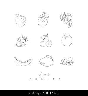 Icônes de fruits pomme, poire, raisin, fraise, cerise,abricot, banane, mangue, cassis en trait de plume, style de dessin sur fond blanc Illustration de Vecteur