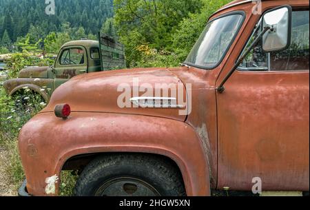 Le panneau de custode d'un camion Ford F600 1953 dans un chantier naval de l'Idaho, aux États-Unis Banque D'Images