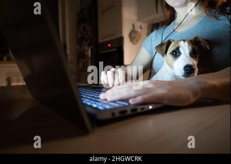 Femme sans visage étudiant à un ordinateur portable.Une femme indépendante se prépare à travailler de chez elle dans la cuisine tard dans la soirée.Chiot Jack Russell Terrier Banque D'Images