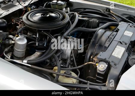 Un V-8 de 350 pouces cubes sous le capot d'une Camaro Z28 1981 de Chevrolet. Banque D'Images